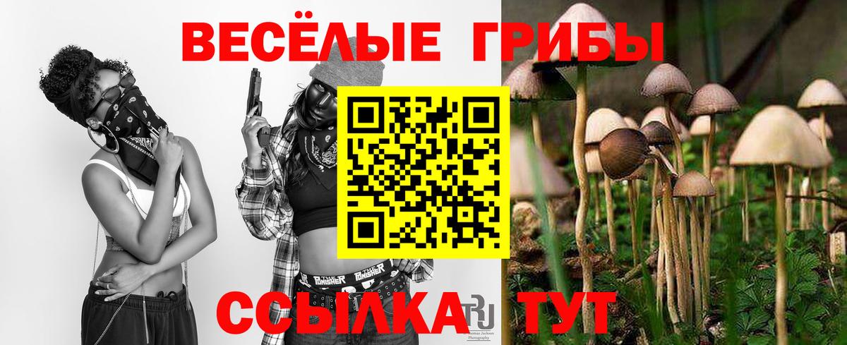 Галлюциногенные грибы MAGIC MUSHROOMS Рязань