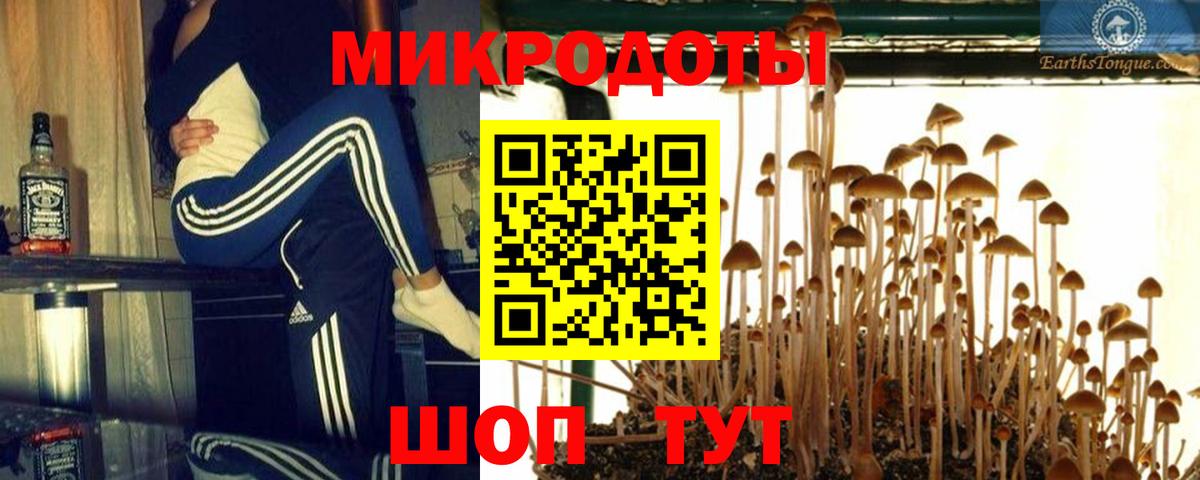 Рязань  Галлюциногенные грибы Psilocybine cubensis  Вход с VPN  Галлюциногенные грибы ЛСД 